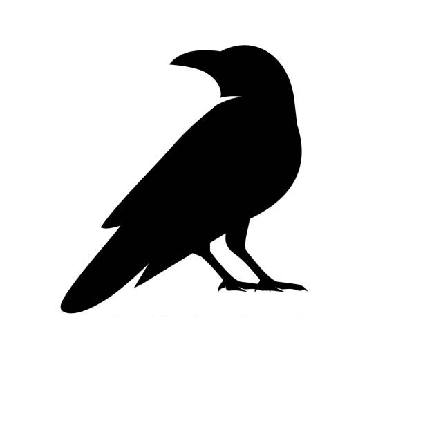 Raven